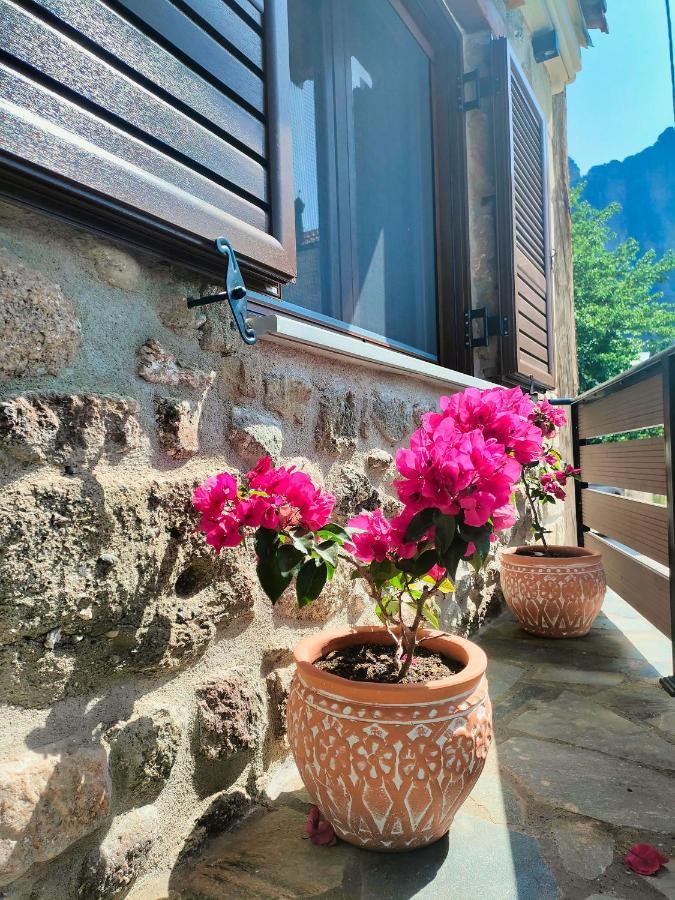 The Stone House Villa Kalambaka Eksteriør billede